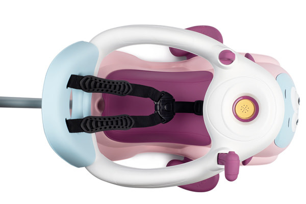 Met veiligheidsbeugel en -gordel